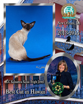 GC-Kaluamoa-Kauai-Bright-Jewel-2013-2014-Best-Cat_210