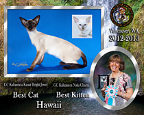 GC-Kaluamoa-Nalu-Charm-Bright-Jewel-2012-2013-Best-Cat_210