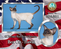 GC-Davisiam-Shazz-Beau-of-Kaluamoa-2010-2011-Best-Cat_210